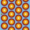 Romanian-800mm-Roundels_700_600_1HC0D