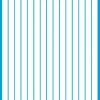 FPRC670 white 8mm vinyl RC stripes