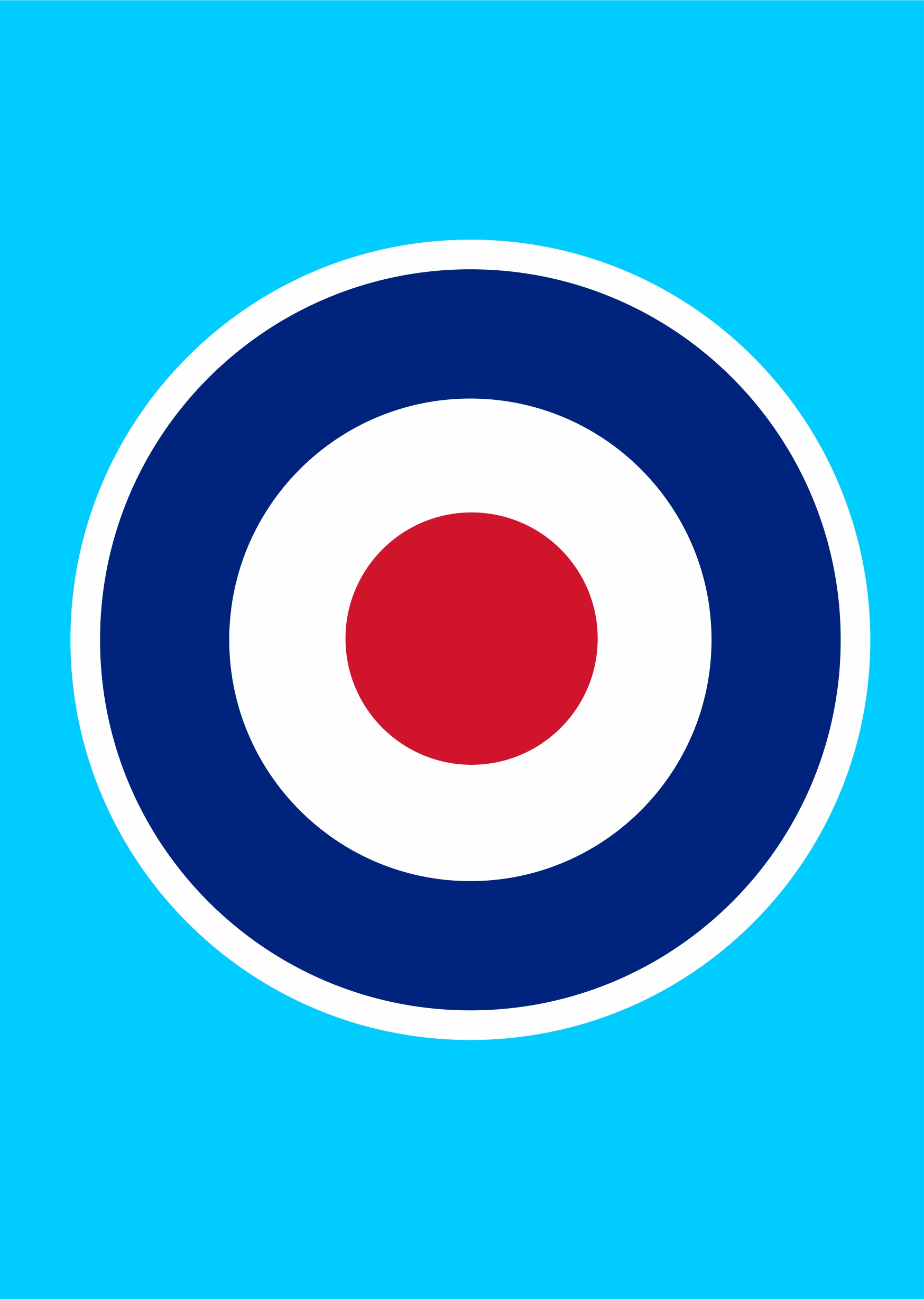 FPNCF 48009W TYPE D ROUNDEL WITH WHITE OUTLINE 1- 48 SCALE